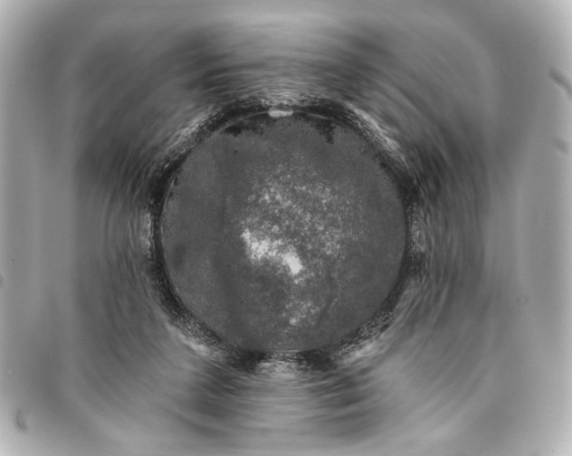 X0000095510211200712281445
