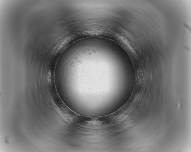 X0000095510212200712281445