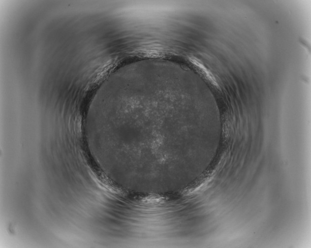 X0000095510213200712281445