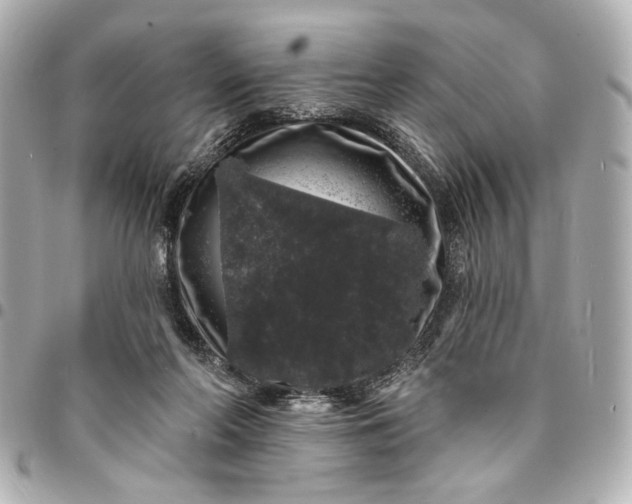X0000095510214200712281445