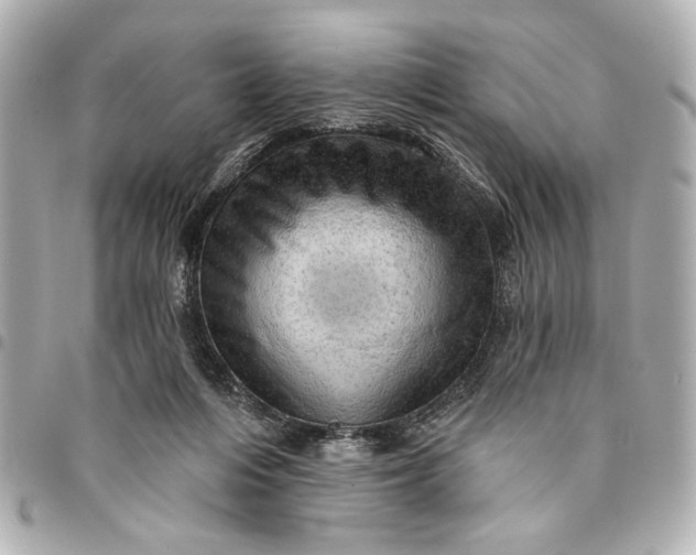 X0000095510216200712281445
