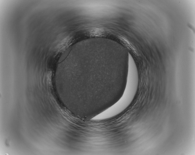 X0000095510217200712281445