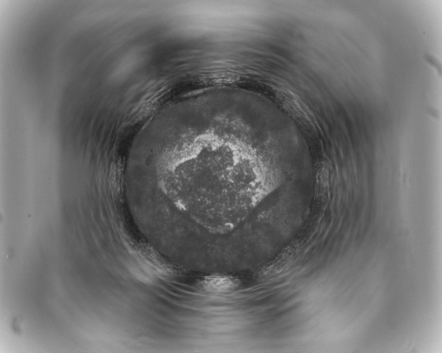 X0000095510218200712281445