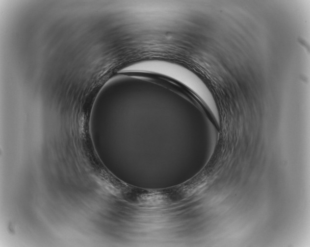 X0000095510219200712281445
