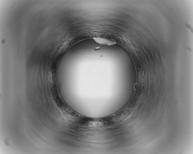 X0000095510220200712281445