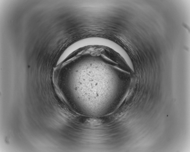 X0000095510221200712281445