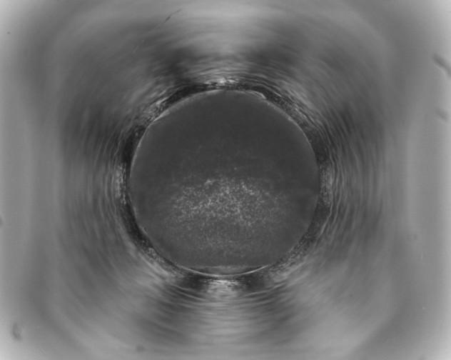 X0000095510222200712281445