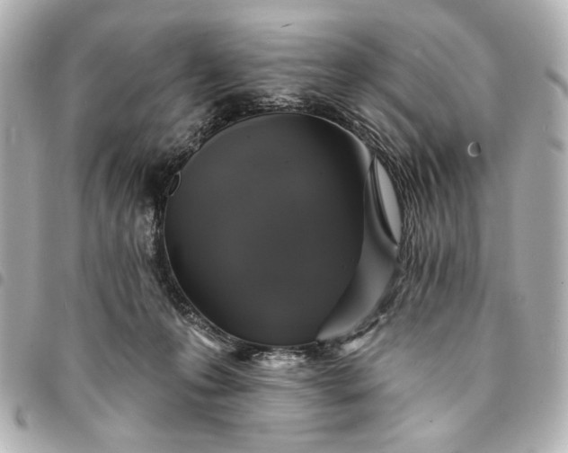 X0000095510223200712281445