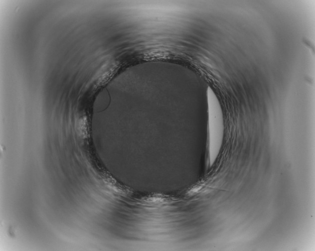 X0000095510224200712281445