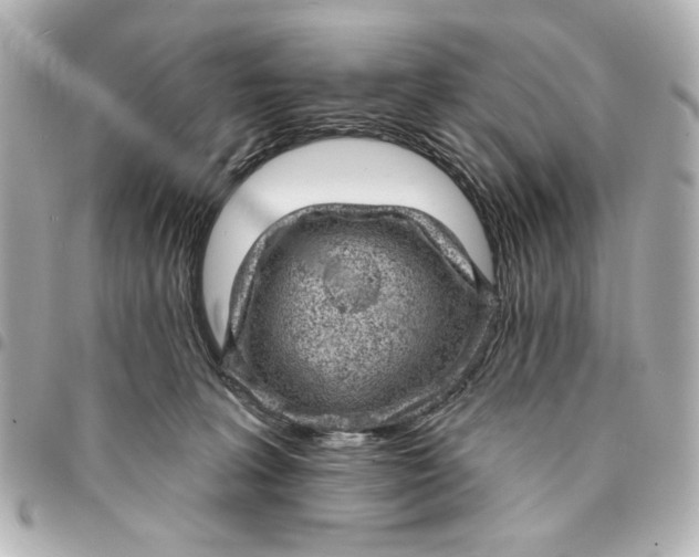 X0000095510227200712281445