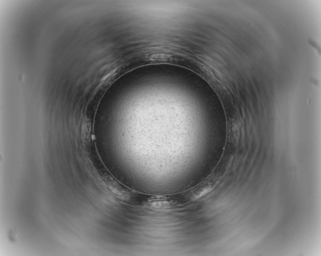 X0000095510228200712281445