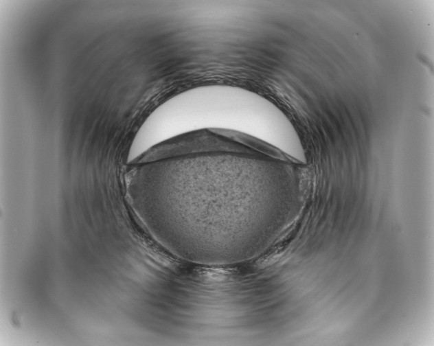 X0000095510229200712281445