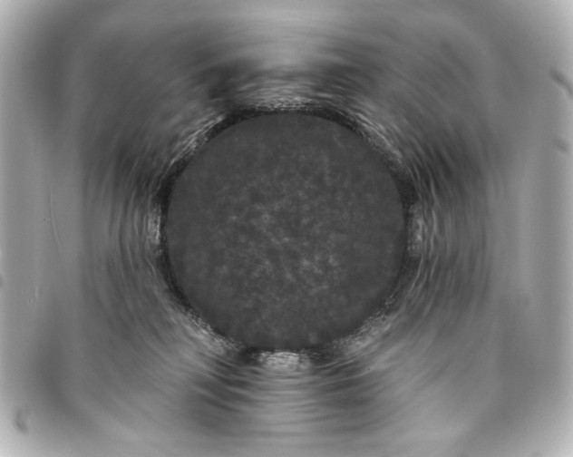 X0000095510230200712281445