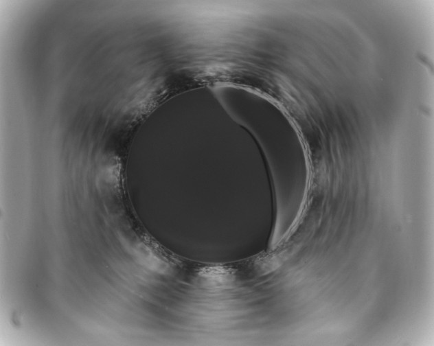 X0000095510231200712281445