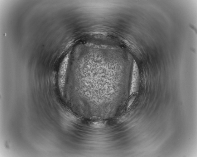 X0000095510232200712281445