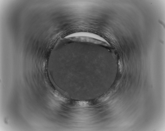 X0000095510233200712281445