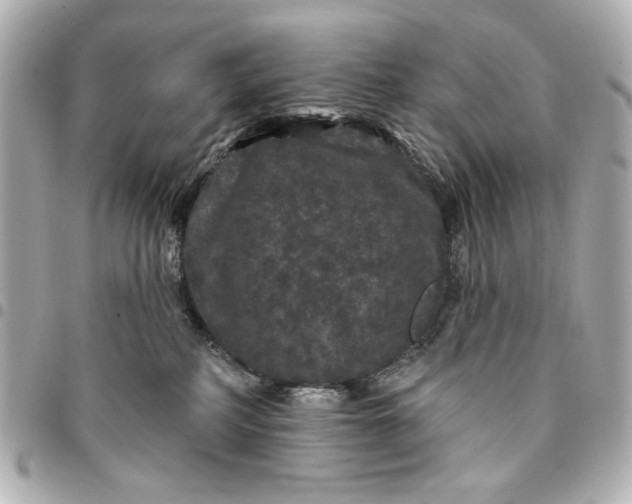 X0000095510234200712281445