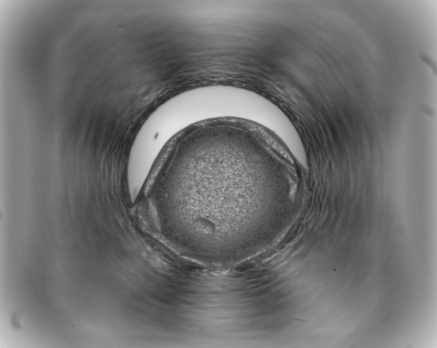 X0000095510235200712281445