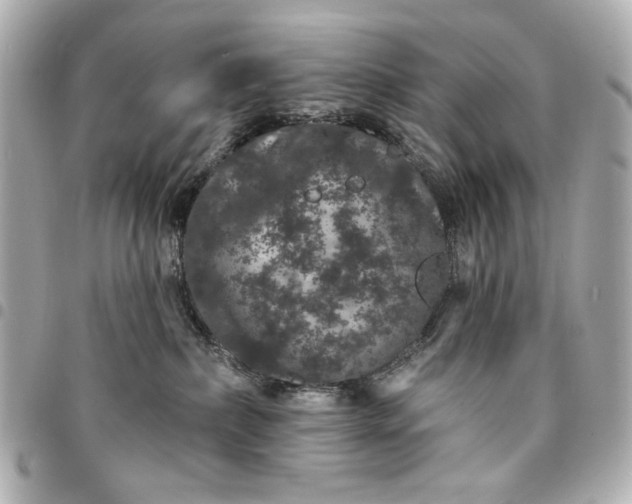 X0000095510236200712281445