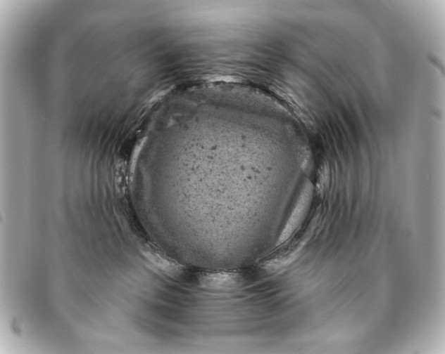 X0000095510237200712281445