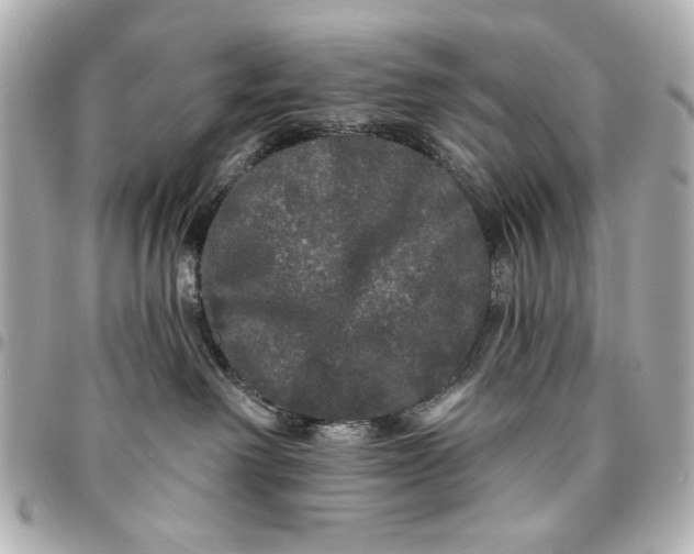 X0000095510238200712281445