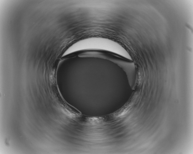 X0000095510239200712281445
