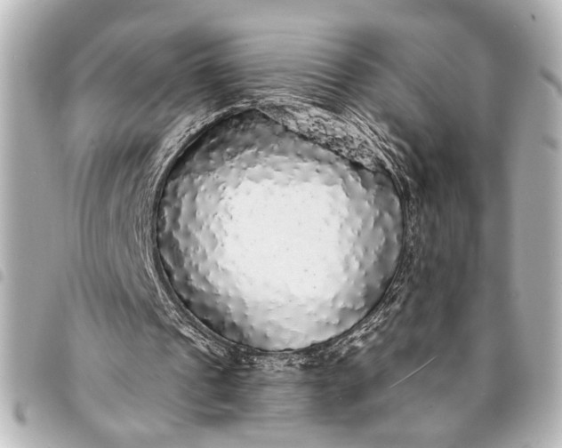 X0000095510241200712281444