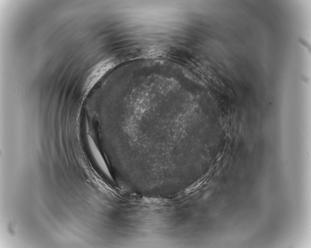 X0000095510242200712281444