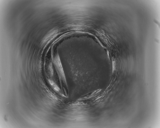 X0000095510243200712281444