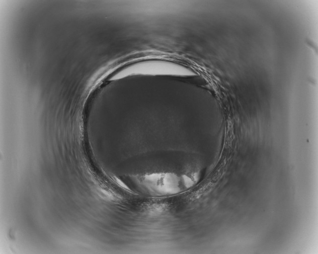 X0000095510247200712281444