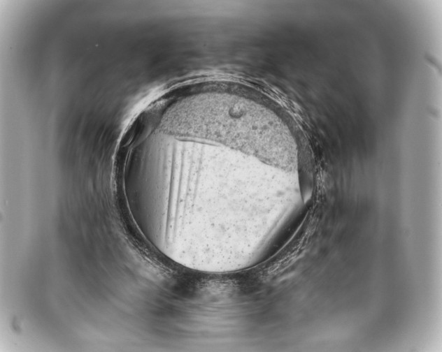 X0000095510248200712281444