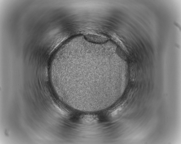 X0000095510251200712281444