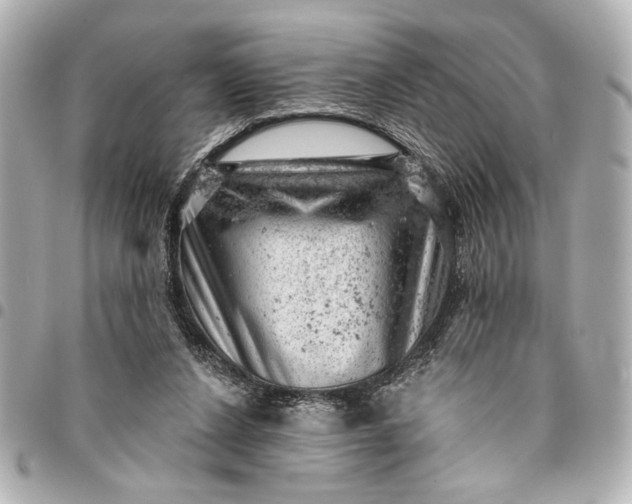 X0000095510256200712281444