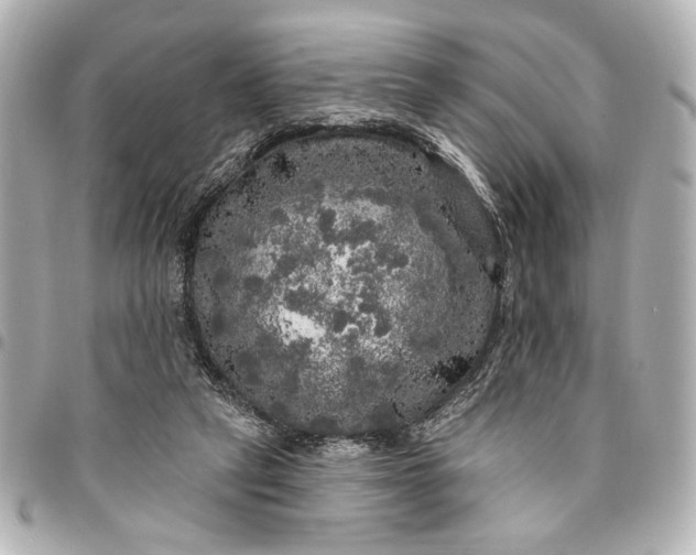 X0000095510257200712281444