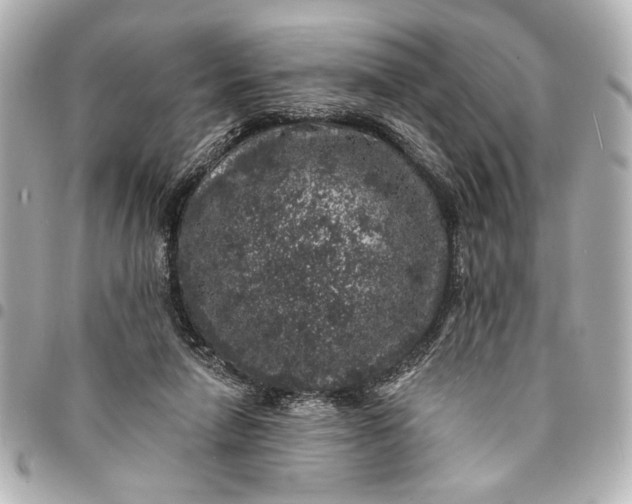 X0000095510258200712281444