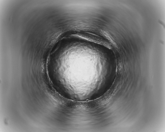 X0000095510259200712281444