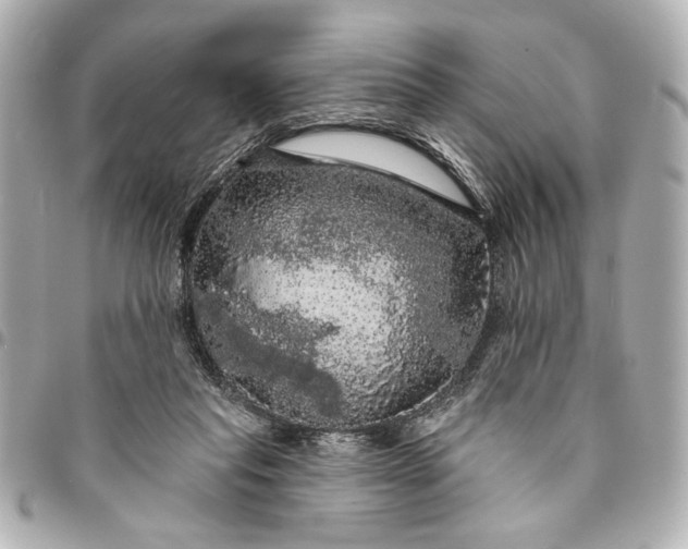 X0000095510261200712281444