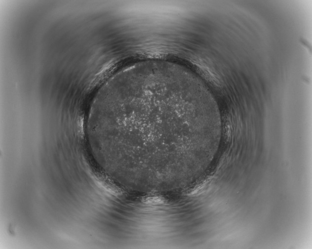 X0000095510262200712281444