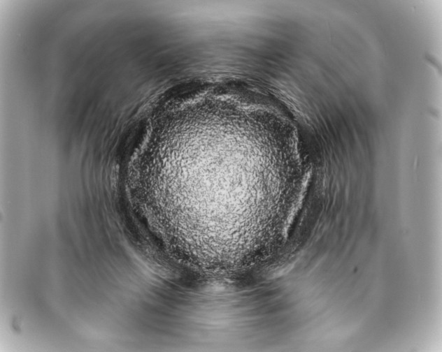 X0000095510263200712281444