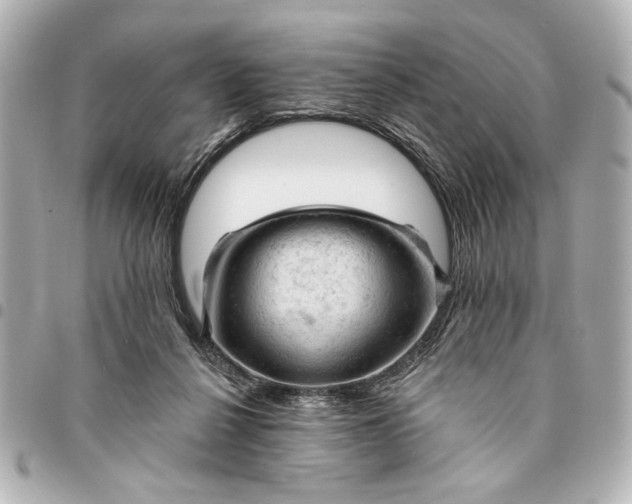 X0000095510264200712281444