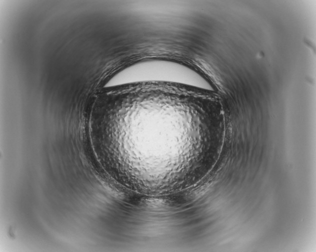 X0000095510265200712281444