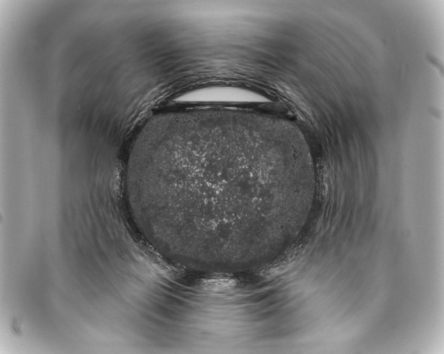 X0000095510266200712281444