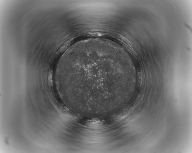 X0000095510267200712281444