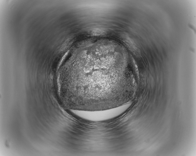 X0000095510269200712281444