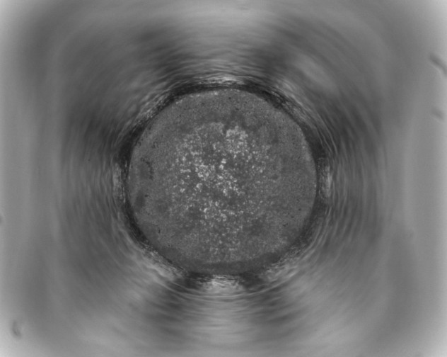 X0000095510270200712281444