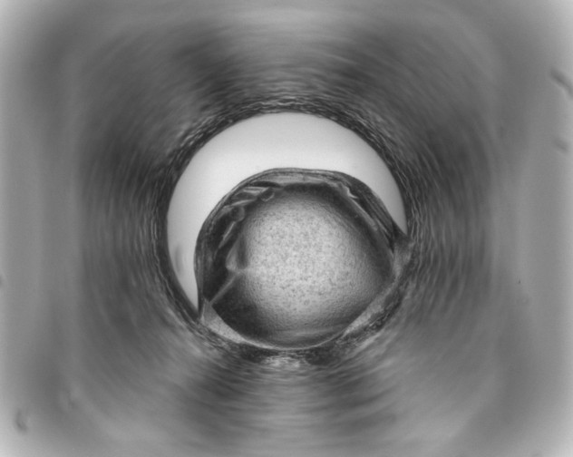 X0000095510272200712281444