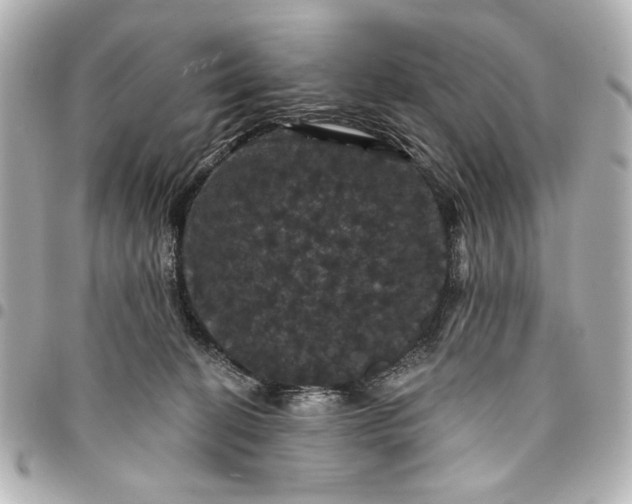 X0000095510274200712281444