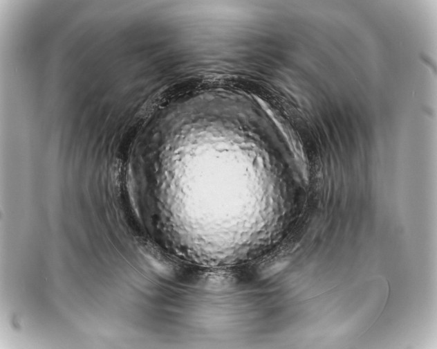 X0000095510275200712281444