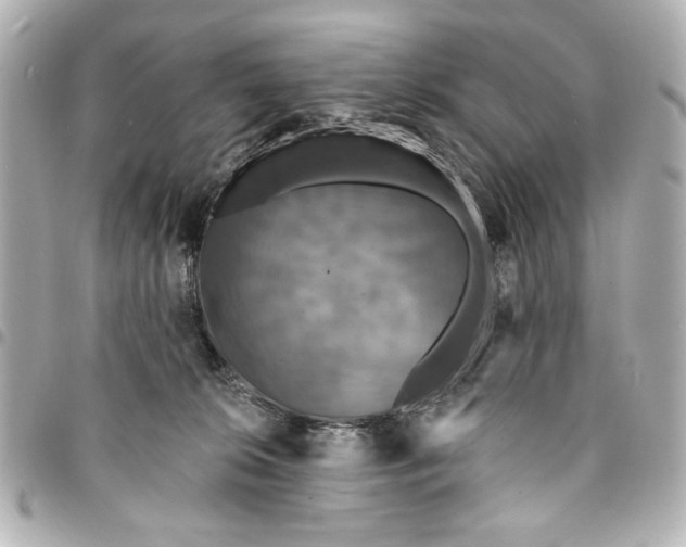 X0000095510276200712281444