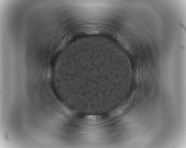 X0000095510277200712281444